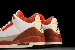 Air Jordan 3 Retro SE Dunk on Mars