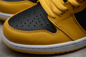 Air Jordan 1 Retro High Pollen