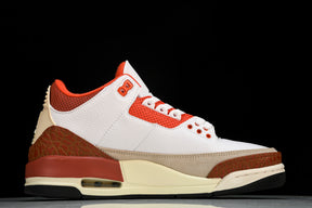 Air Jordan 3 Retro SE Dunk on Mars