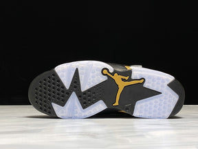 Air Jordan 6 Retro DMP