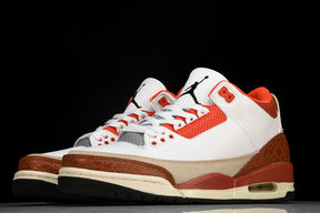 Air Jordan 3 Retro SE Dunk on Mars