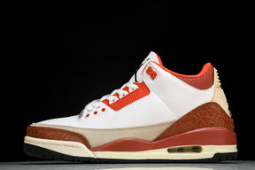 Air Jordan 3 Retro SE Dunk on Mars